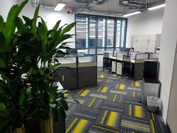 PLUS (D1), Office #599578921